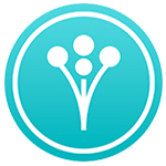 Reviews of Trio Productions on Wedding Wire